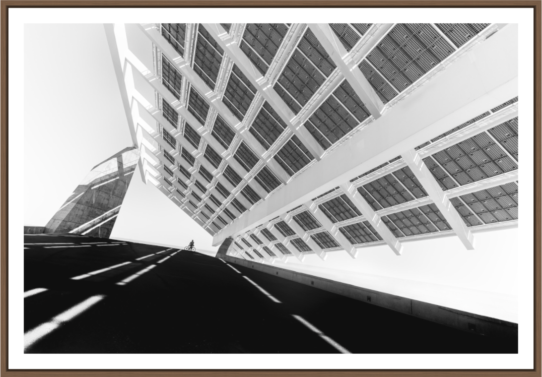 DIALOG - THE CYCLIST III - Barcelona