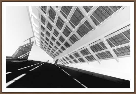 DIALOG - THE CYCLIST III - Barcelona