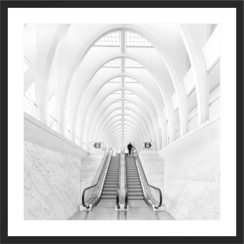 Main image DIALOG - ESCALATOR, ARC AND HUMAN - Liège